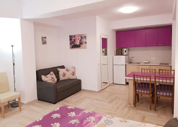 Muncel Maison d'hôtes Constanţa